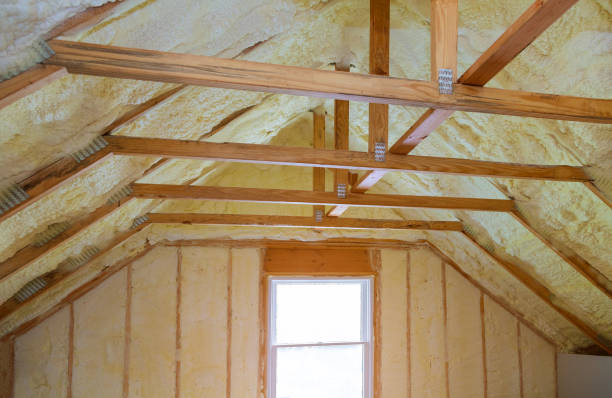 Best Insulation Installation Services in Hooper, NE